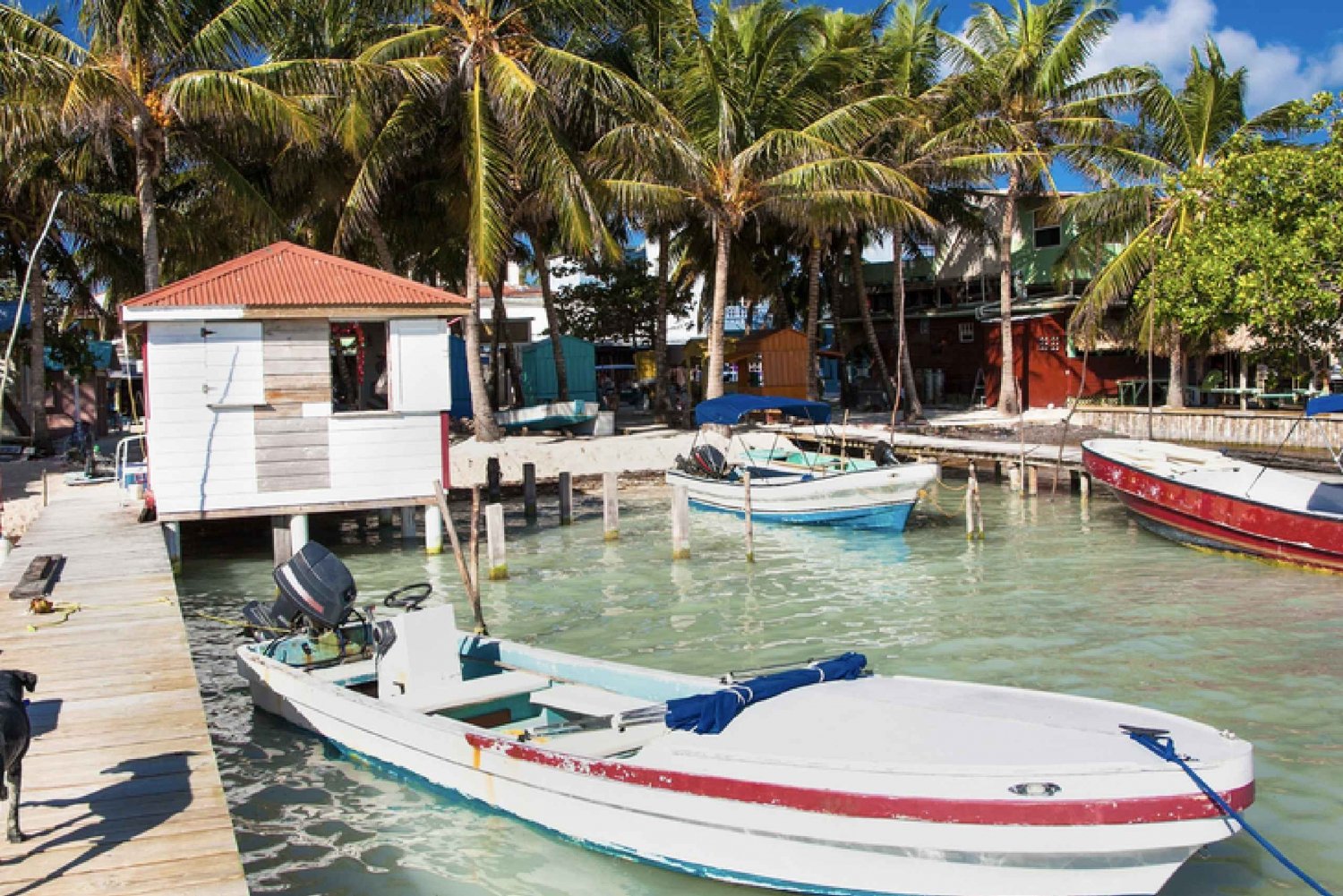 Depuis Carthagène : Transfert partagé aller simple vers Isla Grande