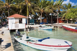 From Cartagena: One way shared transfer to Isla Grande