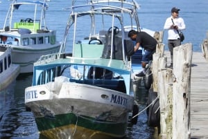 From Cartagena: One way shared transfer to Isla Grande