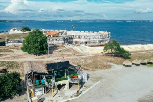 Heldag islas del Rosario + Oceanario + snorkling