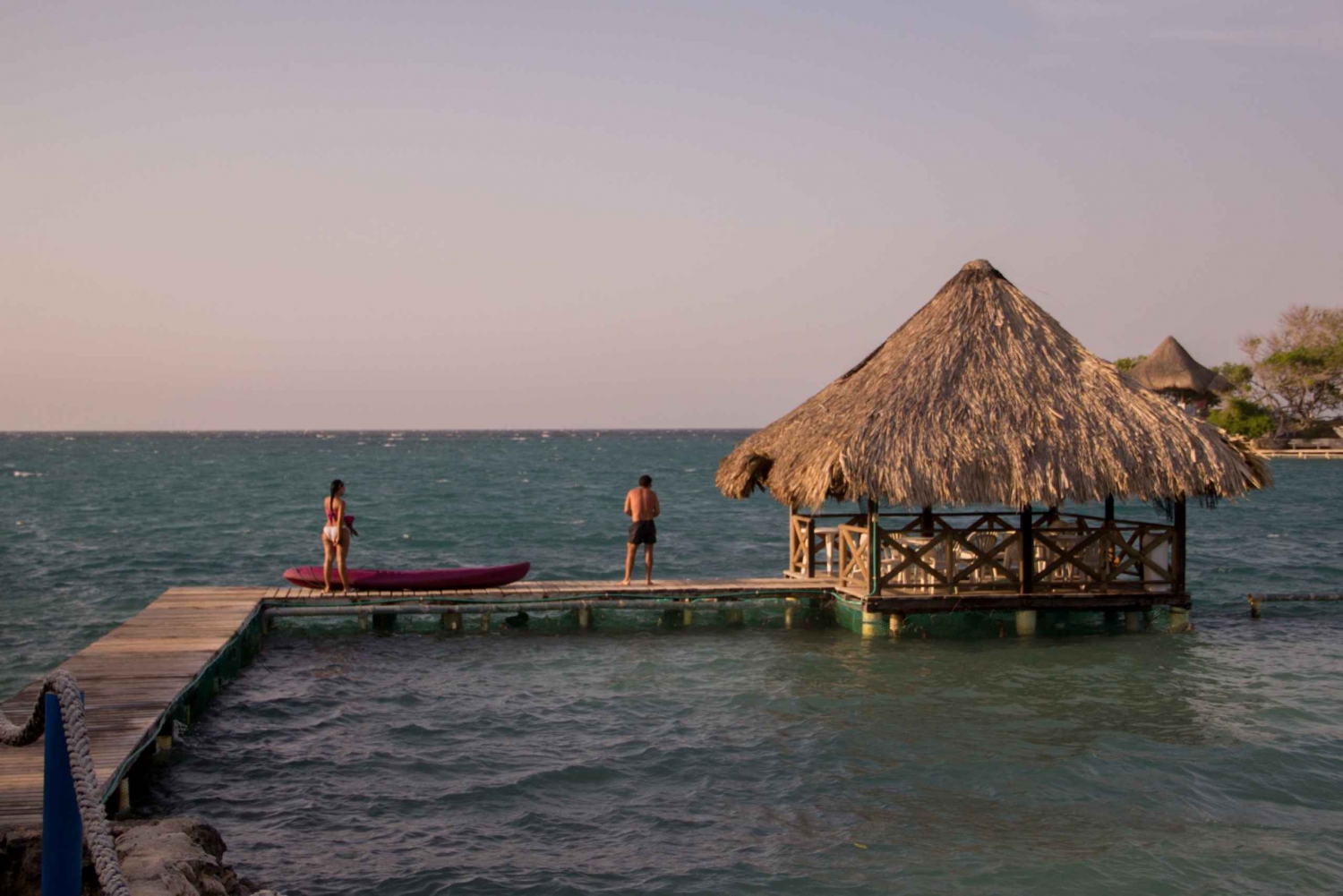 Desde Cartagena: Excursión de un día a las Islas del Rosario