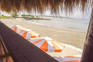 De Cartagena: passeio de lancha rápida à ilha de Tierra Bomba