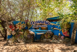 Au départ de Carthagène : 5 îles avec plongée avec tuba, plages et déjeuner buffet