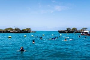 Au départ de Carthagène : 5 îles avec plongée avec tuba, plages et déjeuner buffet