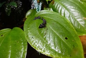 Florenciasta: El Horeb -luonnonsuojelualue ja Womb of Pacha Mama -vaellus