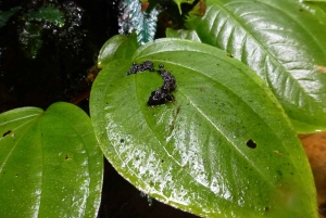 Из Флоренсии: поход в заповедник Эль-Хореб и Лоно Пача-Мамы