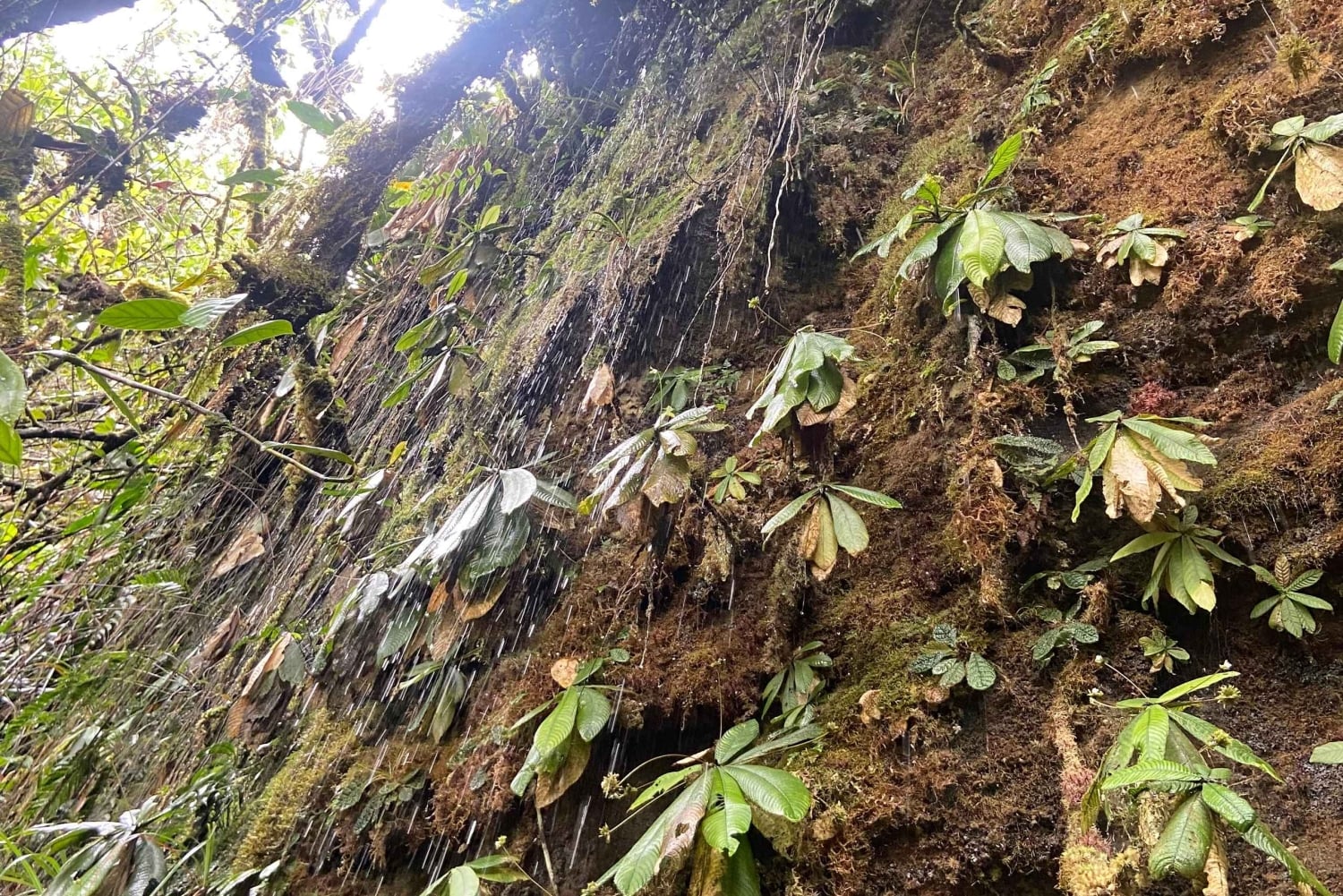 De Florencia: Caminhada de um dia pela cascata Lágrima del Gigante