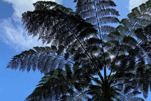 De Florencia: Caminhada de um dia pela cascata Lágrima del Gigante