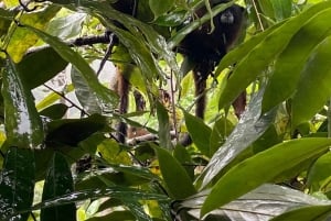 De Florencia: Caminhada de um dia pela cascata Lágrima del Gigante