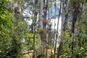 De Florencia: Caminhada de um dia pela cascata Lágrima del Gigante