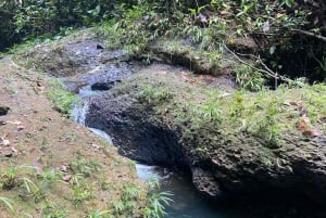 De Florencia: Caminhada de um dia pela cascata Lágrima del Gigante