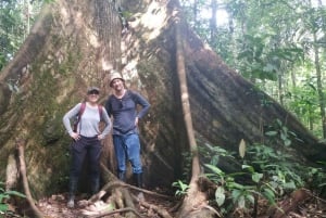 3-Day Amazon Expedition: Jungle, River & Wildlife Tour