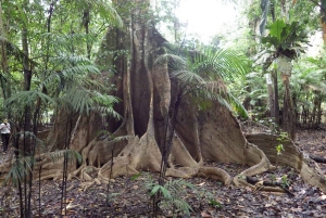 3-Day Amazon Expedition: Jungle, River & Wildlife Tour
