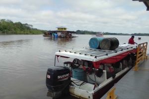 3-Day Amazon Expedition: Jungle, River & Wildlife Tour