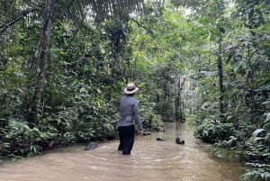 Desde Leticia: Amazonas Natural y Cultural 5 Días