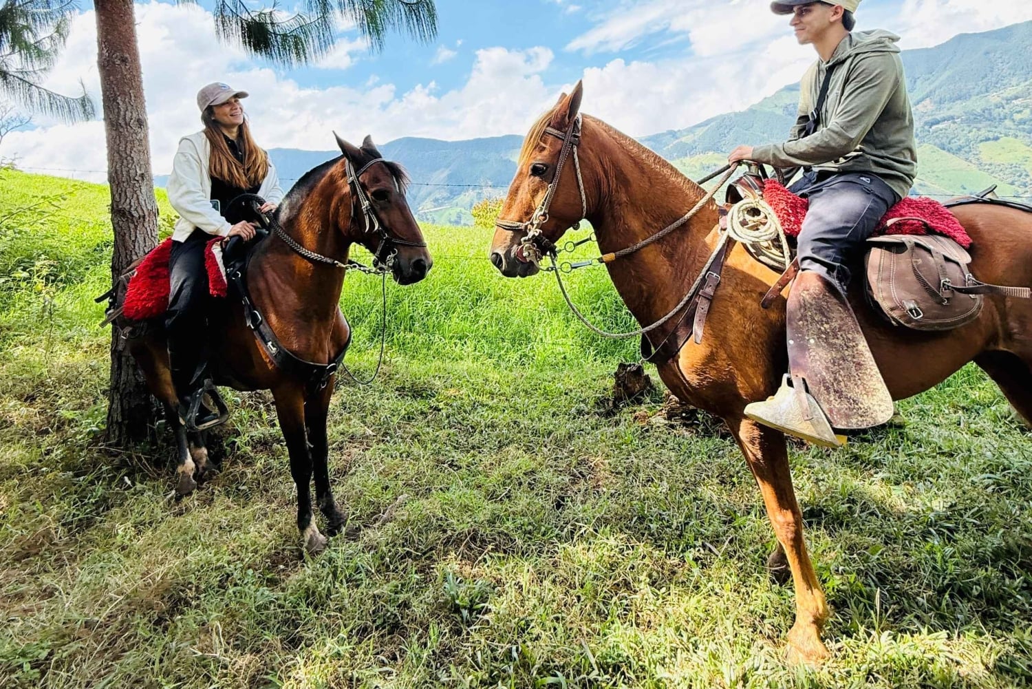 Von Medellin: 100 Jahre alte Finca, Reiten und mehr
