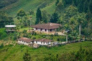 Von Medellin: 100 Jahre alte Finca, Reiten und mehr
