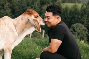 Von Medellin: 100 Jahre alte Finca, Reiten und mehr