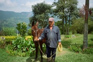 Von Medellin: 100 Jahre alte Finca, Reiten und mehr