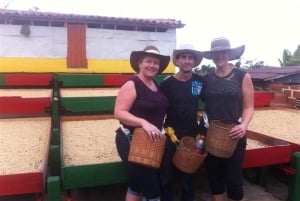 From Medellin: 2-Day Jericó Coffee Tour