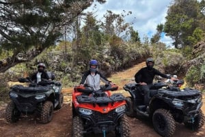 From Medellin: ATV Quad Forest Tour