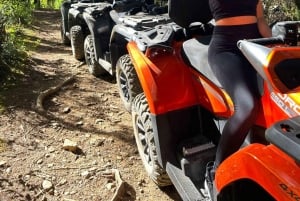 From Medellin: ATV Quad Forest Tour
