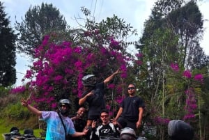 From Medellin: ATV Quad Forest Tour