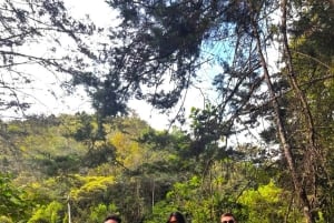 From Medellin: ATV Quad Forest Tour