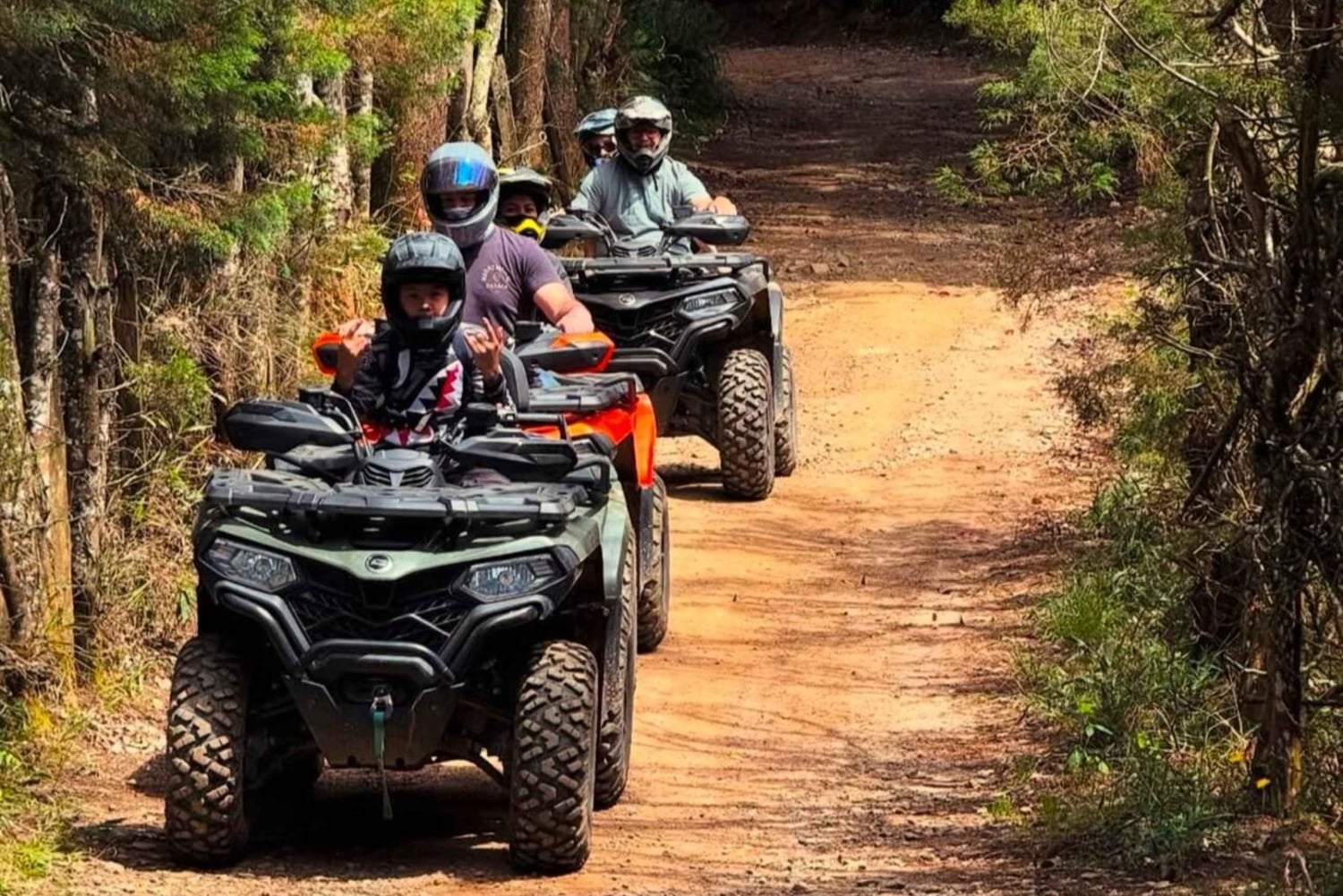 De Medellín: Tour de Quad na Floresta