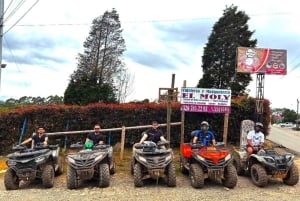 De Medellín: Tour de Quad na Floresta