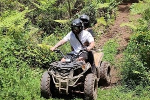 De Medellín: Tour de Quad na Floresta