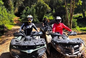 De Medellín: Tour de Quad na Floresta