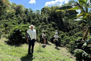 メデジン発：コーヒーツアーと山でのジップライン