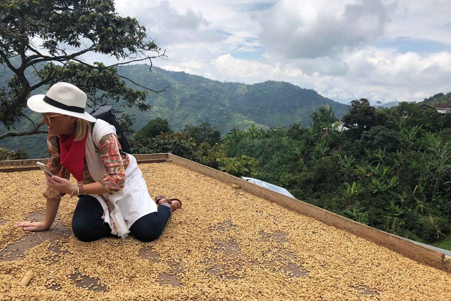 Fra Medellin: Dagstur til en Jardin Coffee Plantation