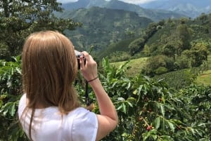 Desde Medellín: excursión a una plantación de café en Jardín