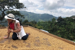 Fra Medellin: Dagstur til en Jardin Coffee Plantation