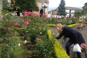Fra Medellin: Dagstur til en Jardin Coffee Plantation