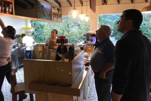 Fra Medellin: Dagstur til en Jardin Coffee Plantation