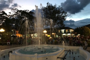 Fra Medellin: Dagstur til en Jardin Coffee Plantation