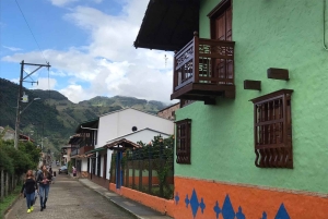 Fra Medellin: Dagstur til en Jardin Coffee Plantation