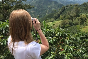 Fra Medellin: Dagstur til en Jardin Coffee Plantation