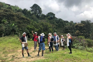 Fra Medellin: Dagstur til en Jardin Coffee Plantation