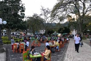 Fra Medellin: Dagstur til en Jardin Coffee Plantation