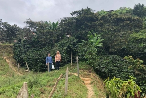 Fra Medellin: Dagstur til en Jardin Coffee Plantation