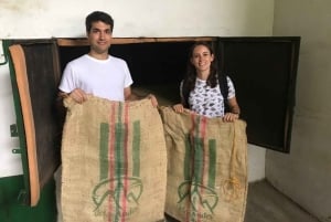Fra Medellin: Dagstur til en Jardin Coffee Plantation