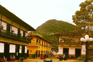 Fra Medellin: Dagstur til en Jardin Coffee Plantation