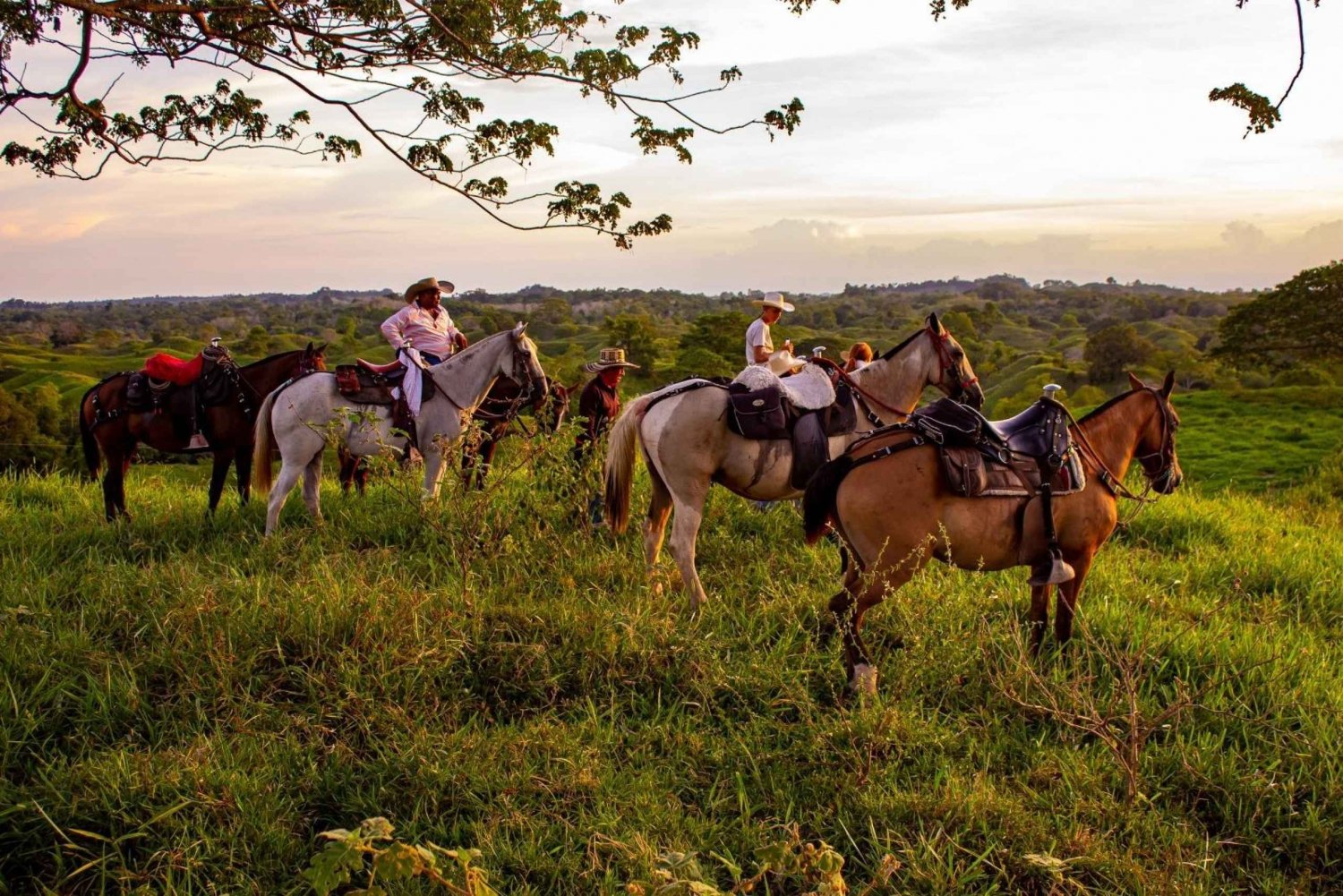 From Medellin; (All-In) The Real Horseback Ranch Experience