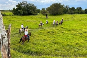 From Medellin; (All-In) The Real Horseback Ranch Experience