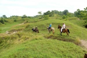 From Medellin; (All-In) The Real Horseback Ranch Experience