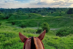 From Medellin; (All-In) The Real Horseback Ranch Experience